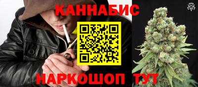 jwh Бийск