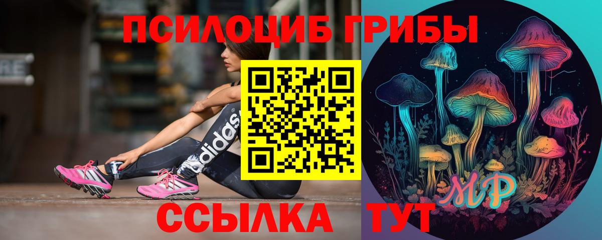 Галлюциногенные грибы Psilocybe  Вход с VPN  Заводоуковск 